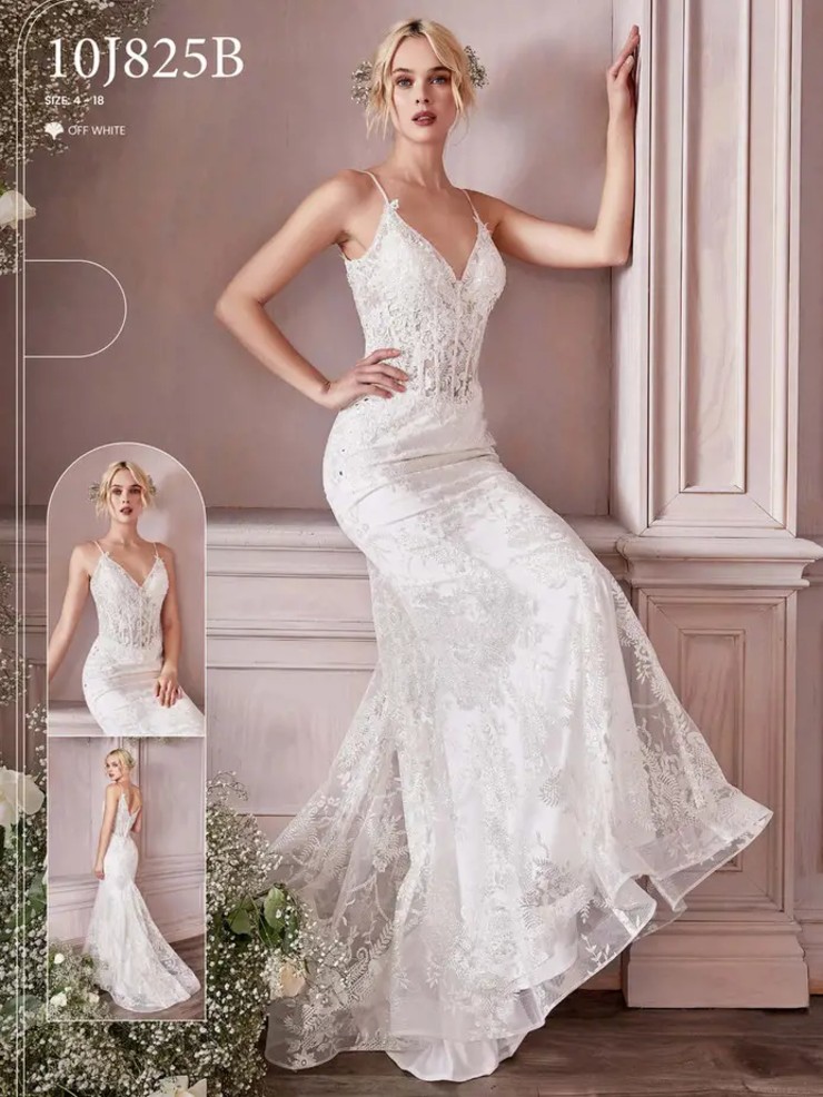 Lace wedding outlet dress sale