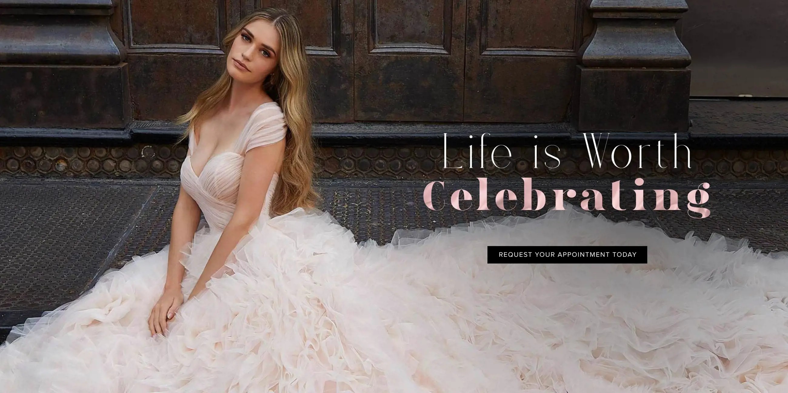 "Life is worth celebrating" banner for desktop