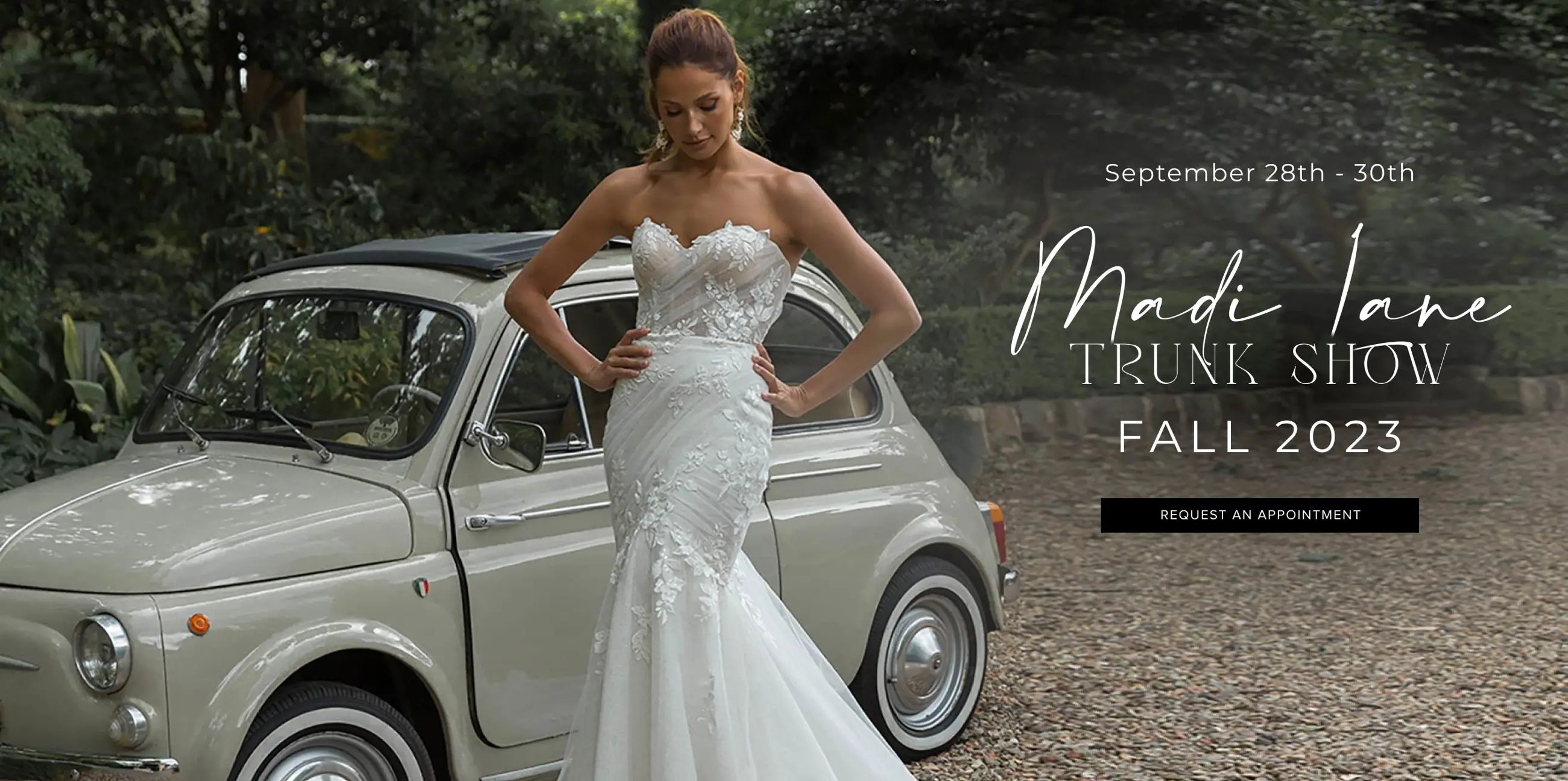 Madi Lane Trunk Show Banner Desktop