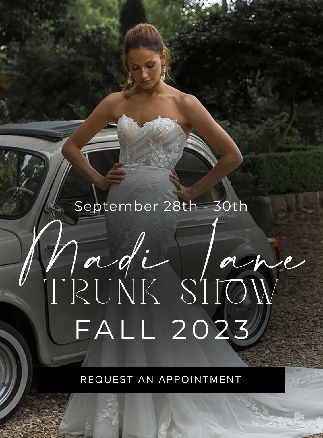 Madi Lane Trunk Show Banner Mobile