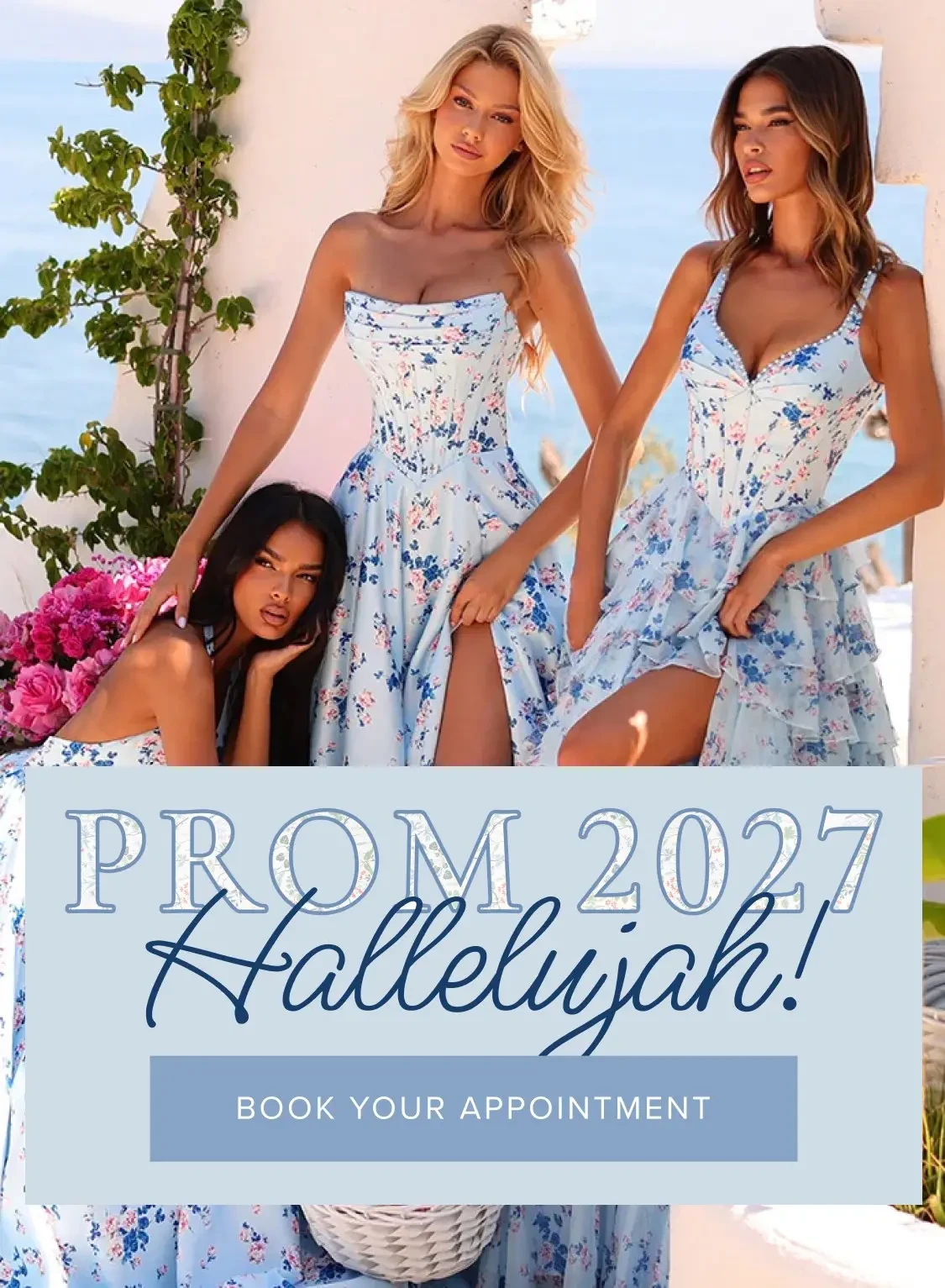 Prom 2027 banner
